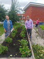 Урожаю быть!  В центре «Надежда» бурно кипит работа на грядках